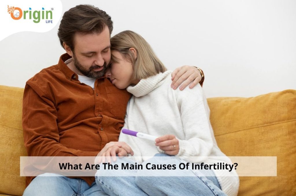Fertility Insights